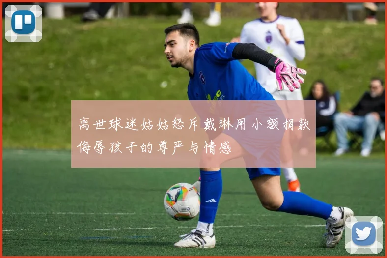 离世球迷姑姑怒斥戴琳用小额捐款侮辱孩子的尊严与情感