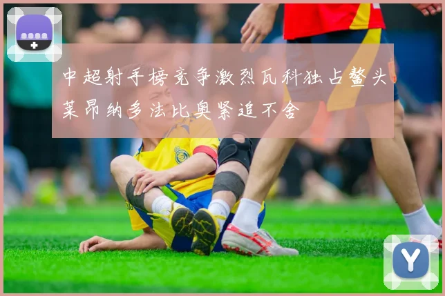 中超射手榜竞争激烈瓦科独占鳌头莱昂纳多法比奥紧追不舍