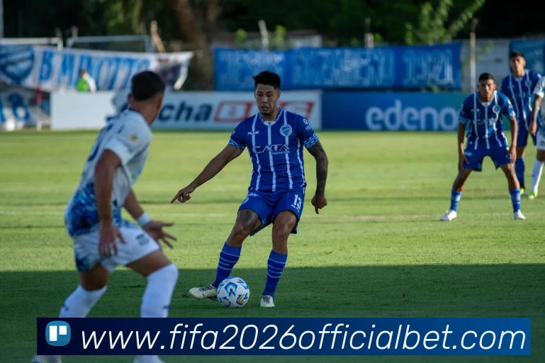 世界杯下注平台生态图